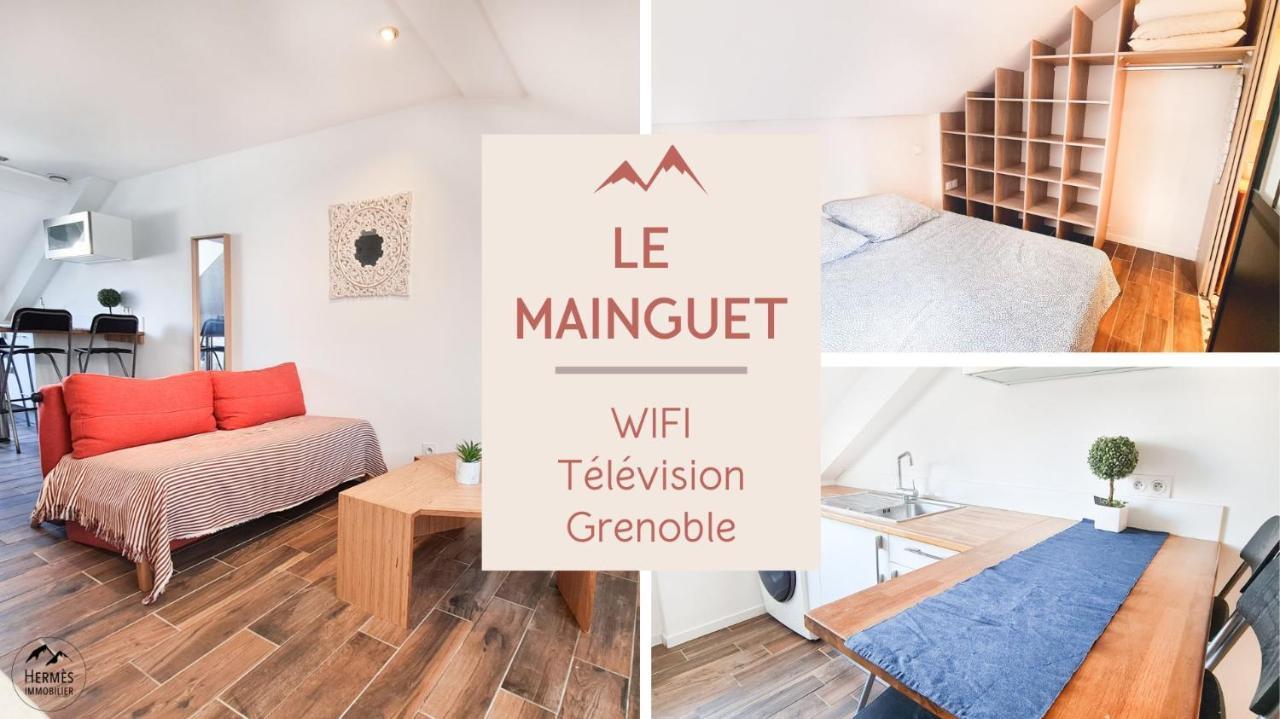 Le Mainguet - Appartement Cosy - Grenoble Luaran gambar